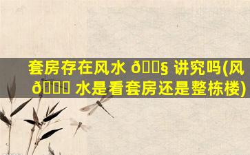 套房存在风水 🐧 讲究吗(风 🐘 水是看套房还是整栋楼)